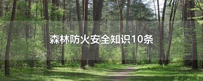 森林防火安全知识10条