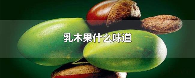 乳木果什么味道 乳木果什么味道