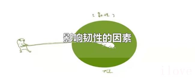 影响韧性的因素 影响韧性的因素
