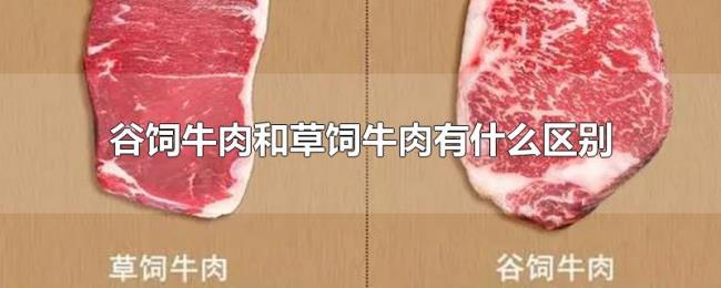 谷饲牛肉和草饲牛肉有什么区别 谷饲牛肉和草饲牛肉有什么区别