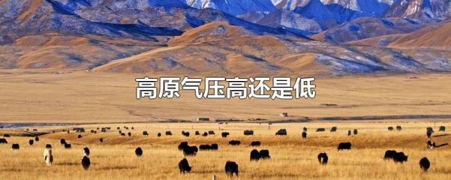 高原气压高还是低