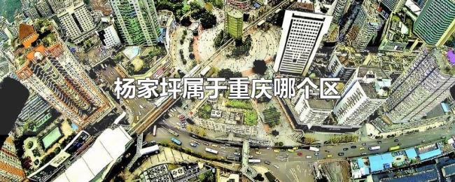 杨家坪属于重庆哪个区 杨家坪属于重庆哪个区