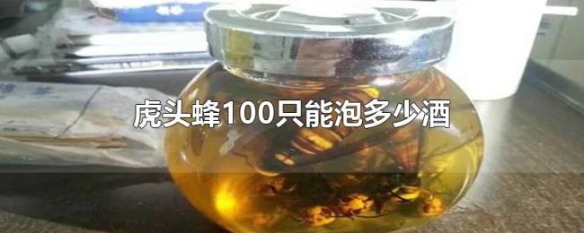 虎头蜂100只能泡多少酒