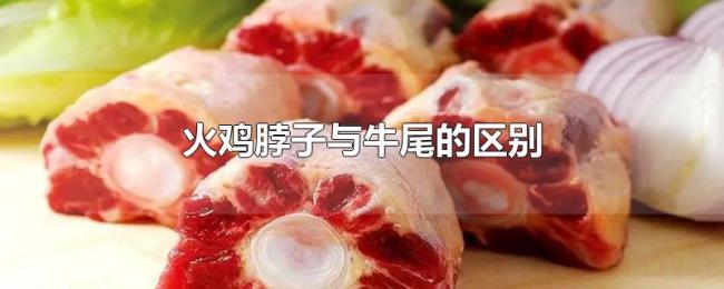 火鸡脖子与牛尾的区别