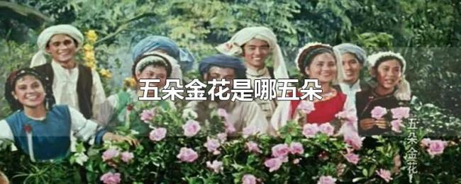 五朵金花是哪五朵 五朵金花是哪五朵