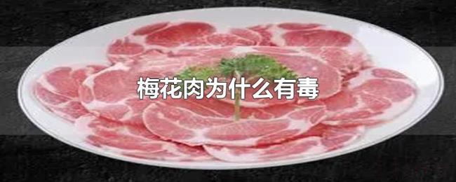 梅花肉为什么有毒