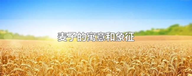 麦子的寓意和象征 麦子的寓意和象征