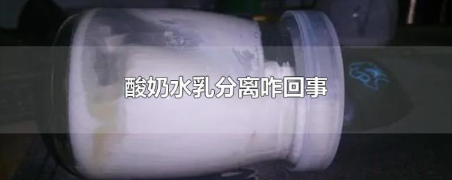 酸奶水乳分离咋回事 酸奶水乳分离咋回事