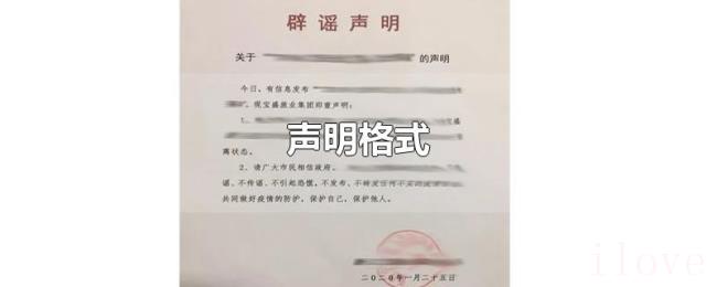 声明格式