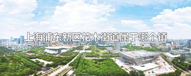 上海浦东新区花木街道属于哪个镇