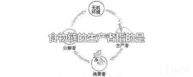 食物链的生产者指的是