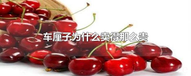 车厘子为什么卖得那么贵 车厘子为什么卖得那么贵