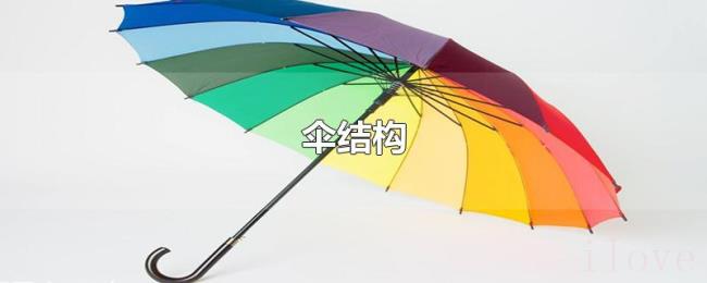 伞结构 伞结构