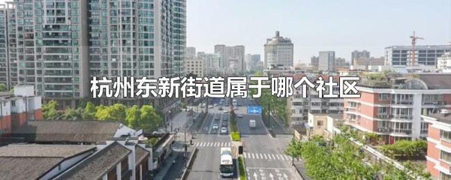 杭州东新街道属于哪个社区