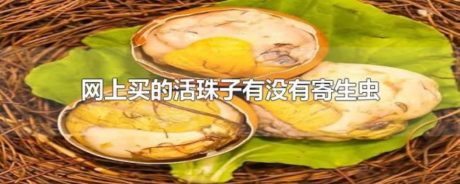 网上买的活珠子有没有寄生虫 网上买的活珠子有没有寄生虫