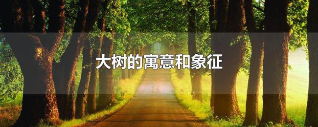 大树的寓意和象征 大树的寓意和象征