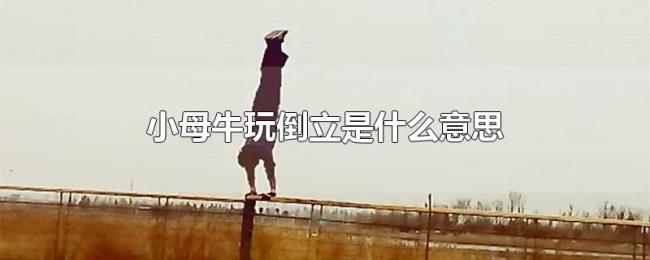 小母牛玩倒立是什么意思 小母牛玩倒立是什么意思