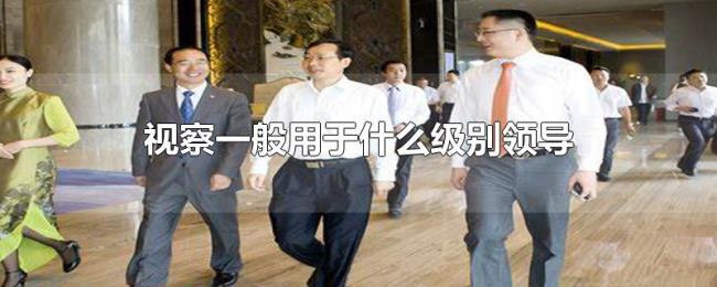 视察一般用于什么级别领导 视察一般用于什么级别领导