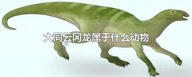 大同云冈龙属于什么动物 大同云冈龙属于什么动物