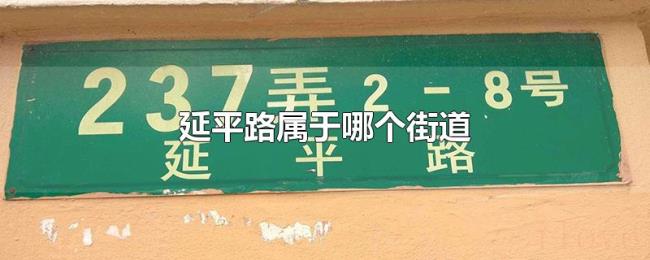 延平路属于哪个街道