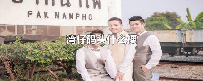 湾仔码头什么梗 湾仔码头什么梗