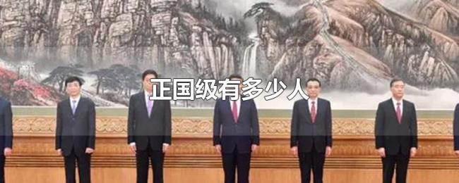 正国级有多少人