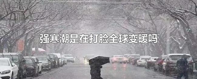 强寒潮是在打脸全球变暖吗