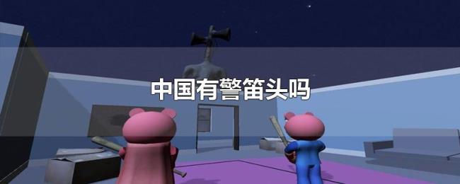 中国有警笛头吗