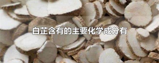 白芷含有的主要化学成分有