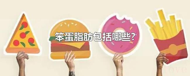笨蛋脂肪包括哪些?