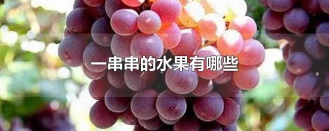 一串串的水果有哪些