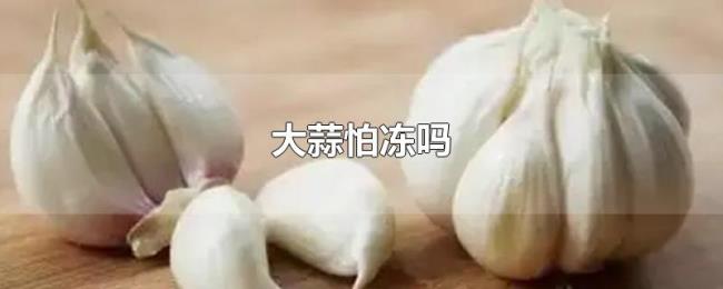 大蒜怕冻吗