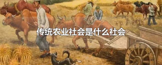 传统农业社会是什么社会