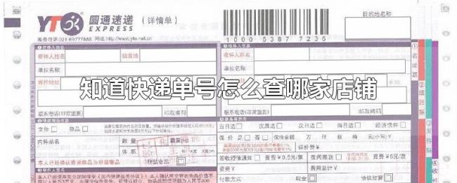 知道快递单号怎么查哪家店铺
