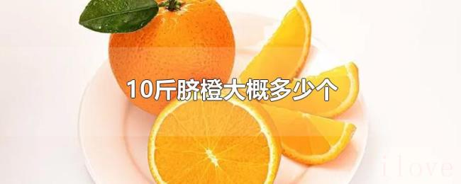 10斤脐橙大概多少个
