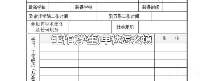 工作(学生)单位怎么填