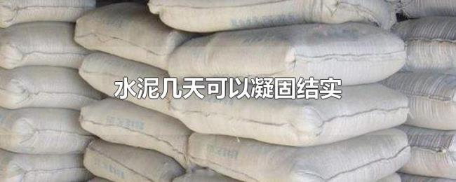 水泥几天可以凝固结实
