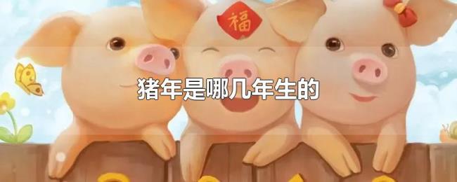 猪年是哪几年生的 猪年是哪几年生的