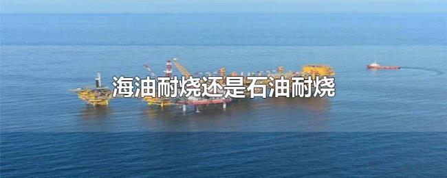 海油耐烧还是石油耐烧 海油耐烧还是石油耐烧