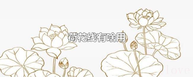 荷花线有啥用 荷花线有啥用