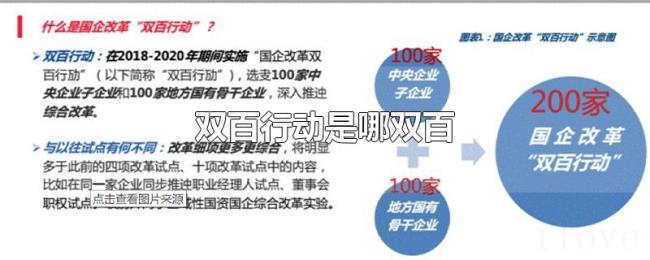双百行动是哪双百 双百行动是哪双百