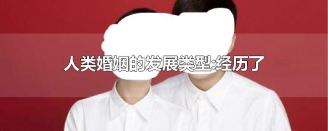 人类婚姻的发展类型:经历了