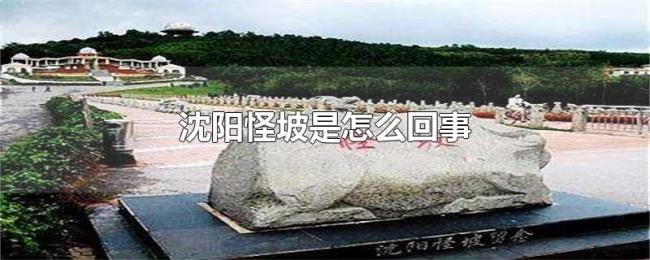 沈阳怪坡是怎么回事