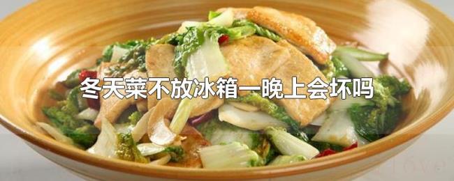 冬天菜不放冰箱一晚上会坏吗 冬天菜不放冰箱一晚上会坏吗