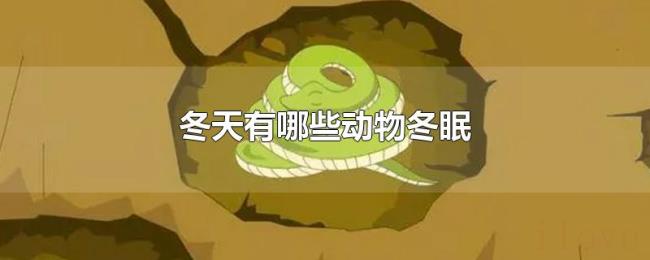 冬天有哪些动物冬眠 冬天有哪些动物冬眠