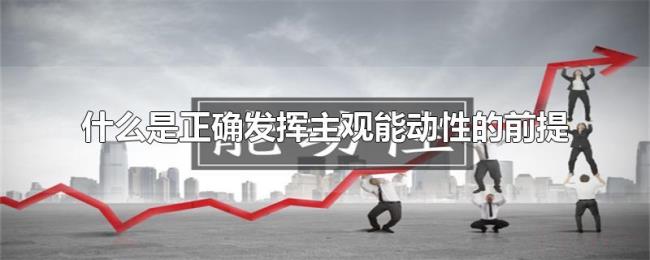 什么是正确发挥主观能动性的前提