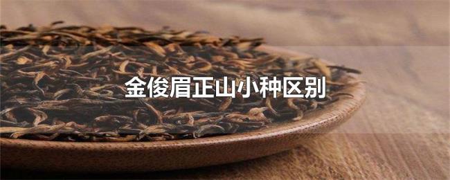 金俊眉正山小种区别 金俊眉正山小种区别
