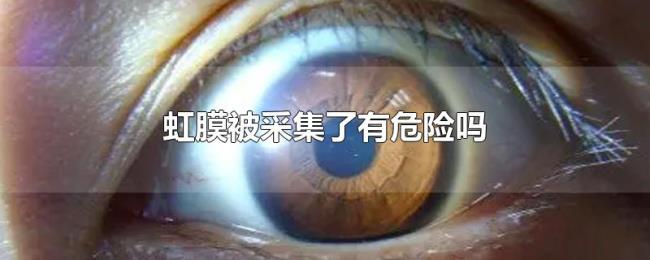 虹膜被采集了有危险吗 虹膜被采集了有危险吗