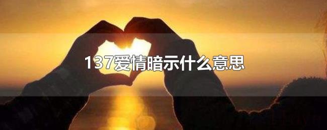 137爱情暗示什么意思