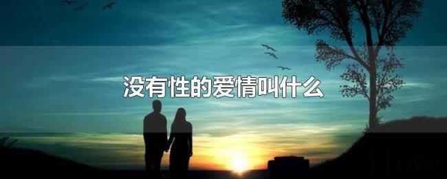 没有性的爱情叫什么